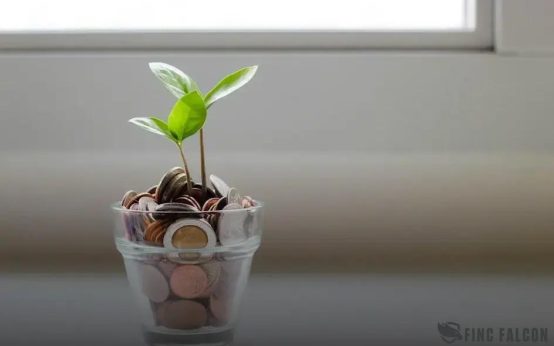 How to Get Started with Cryptocurrency Investing: A Beginner's Guide