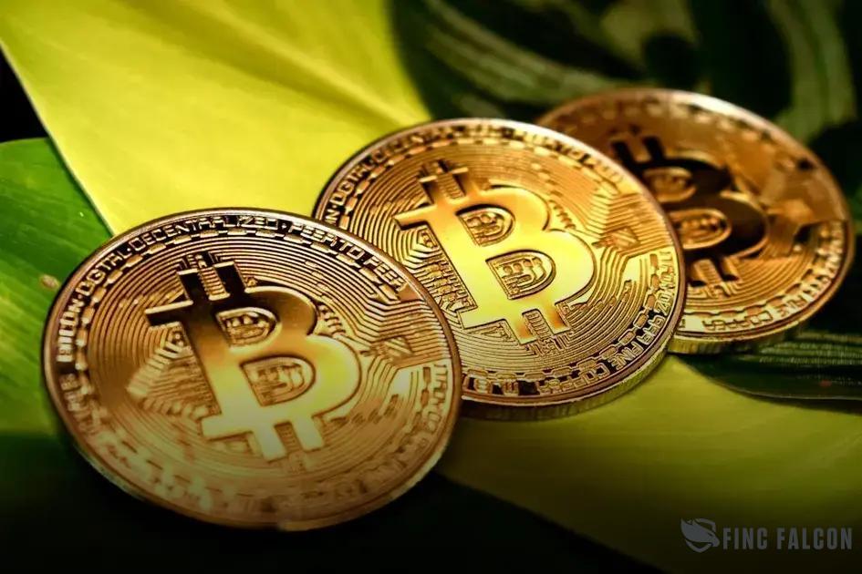 How to Set Up a Budget-Friendly Meal Plan Easily