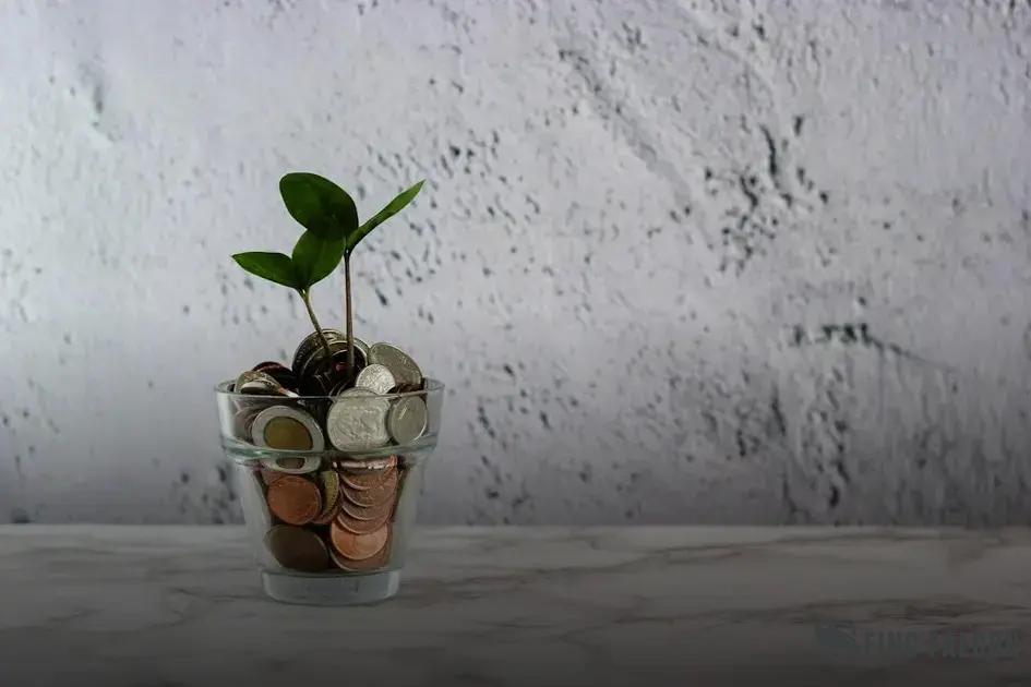 How to Travel for Free with Credit Card Rewards Tips