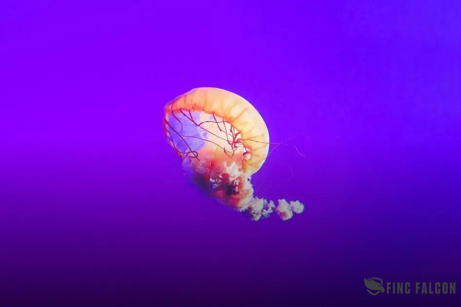 The Importance of Asset Allocation in Investing: Key Strategies